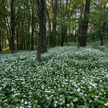 Heart-a-land Vendeghaz Magyarhertelend