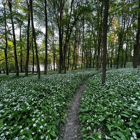 Tatil Evi Heart-a-land Vendeghaz *