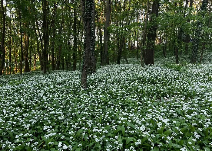 Heart-a-land Vendeghaz Magyarhertelend