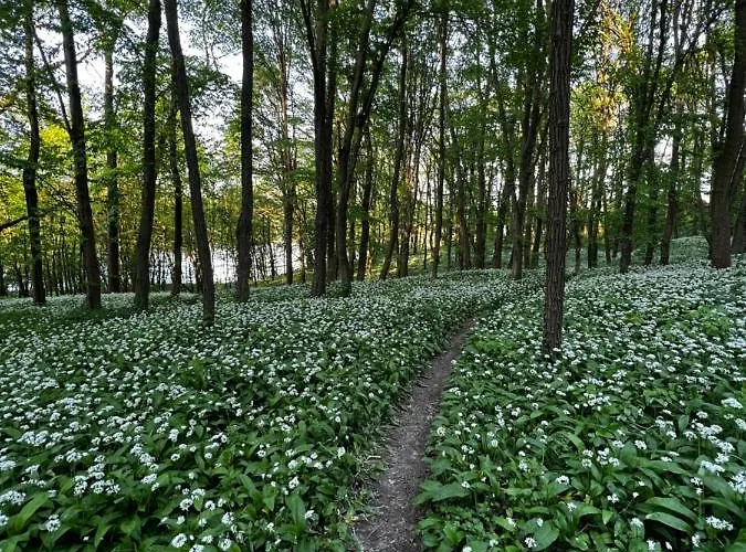 Case de vacanță Heart-a-land Vendeghaz *