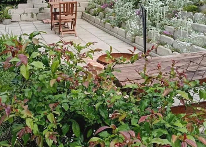 Heart-a-land Vendeghaz